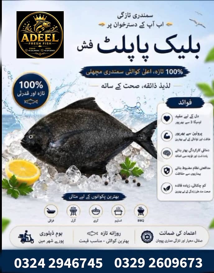 Adeel Fresh Fish 4