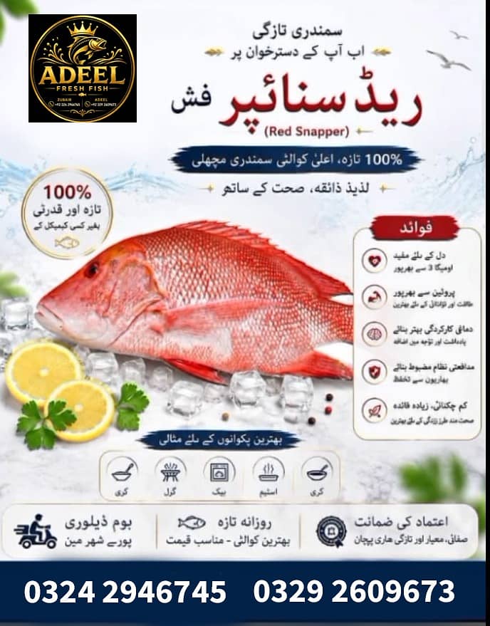 Adeel Fresh Fish 5