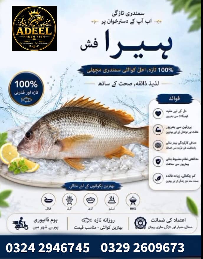Adeel Fresh Fish 6