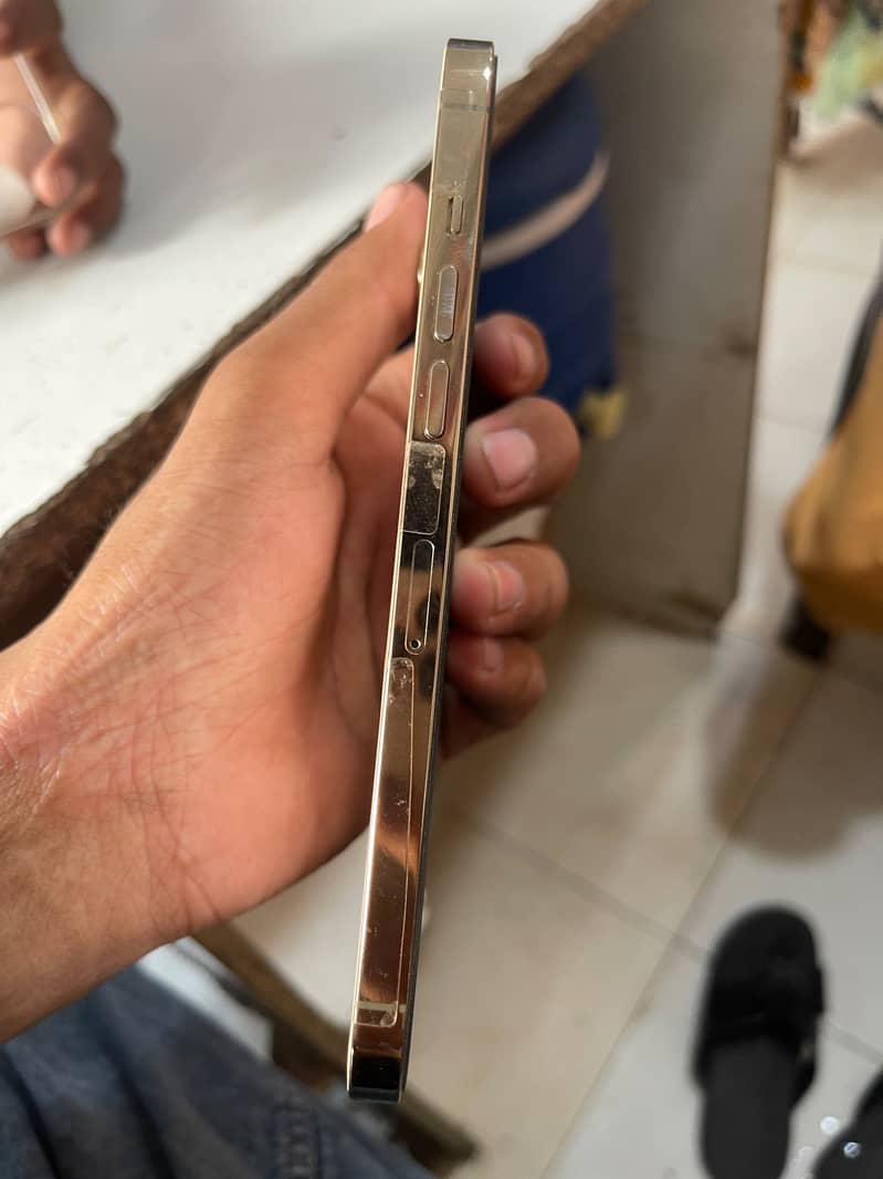 Apple iPhone 12 Pro Max 1