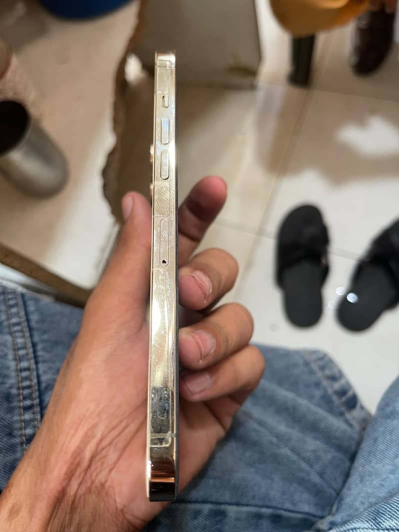 Apple iPhone 12 Pro Max 5