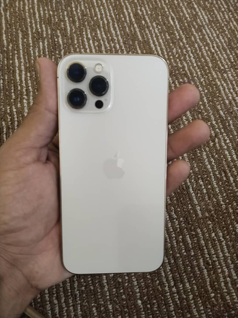 Apple iPhone 12 Pro Max 1