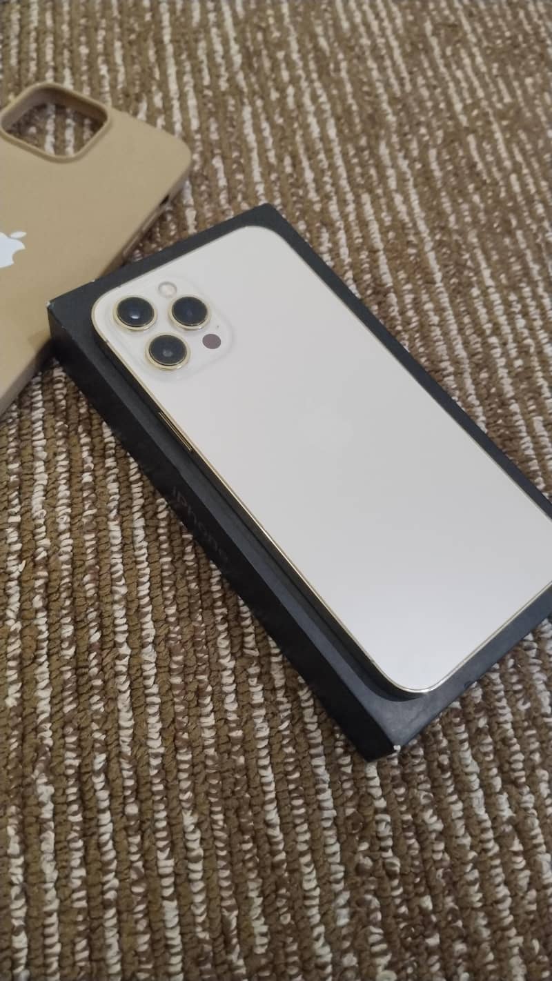 Apple iPhone 12 Pro Max 2