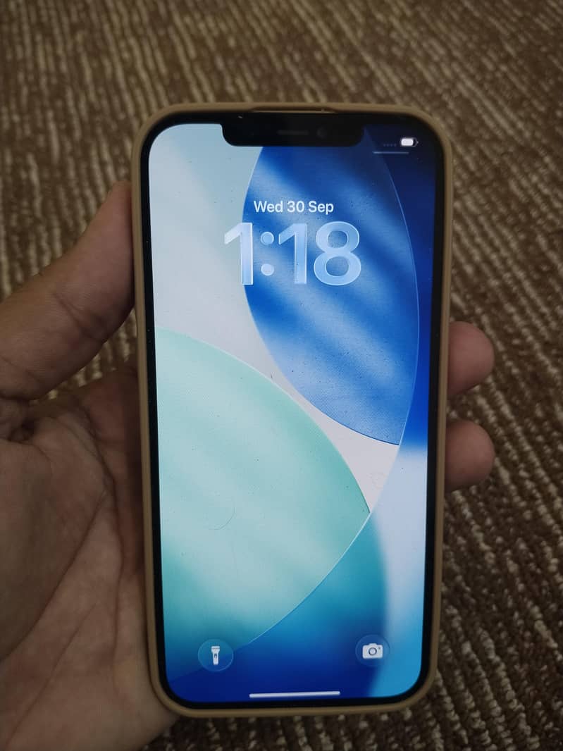 Apple iPhone 12 Pro Max 4