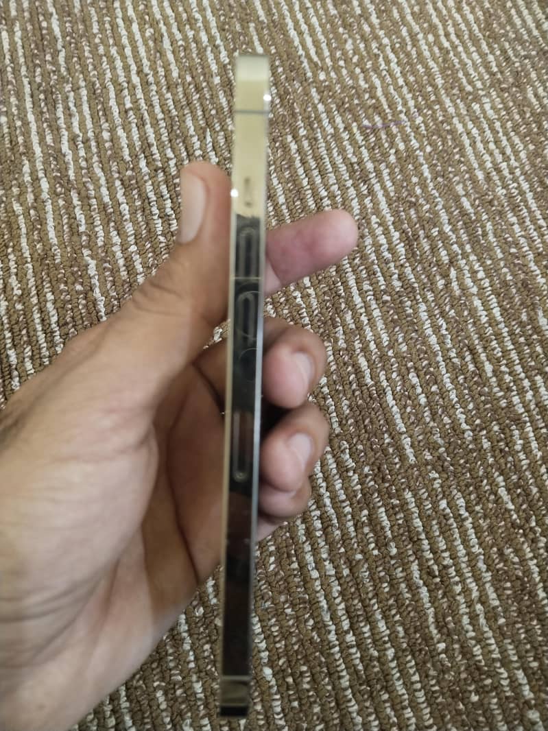 Apple iPhone 12 Pro Max 5