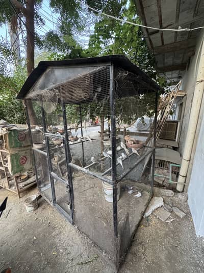 Bird cage for sale