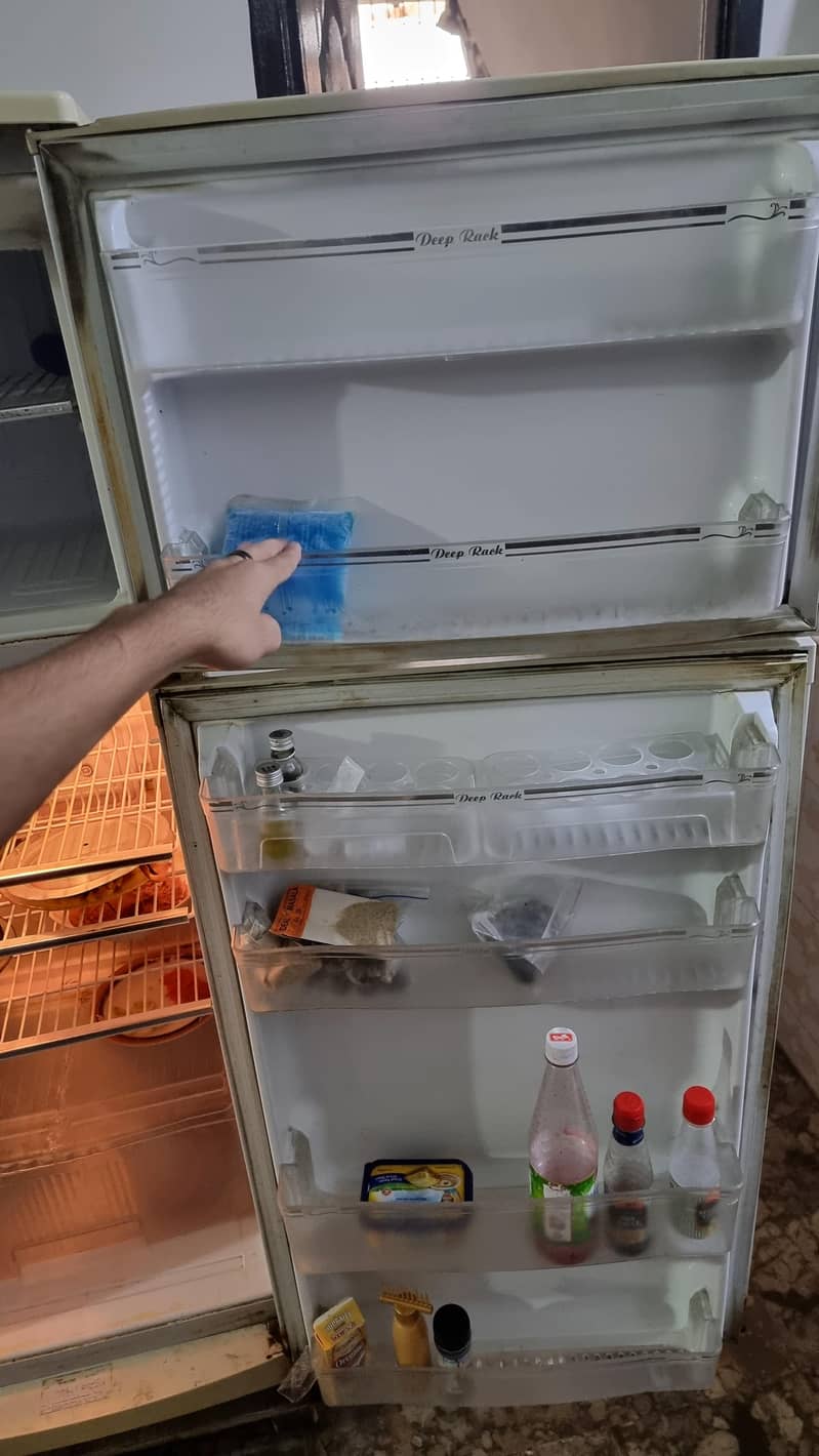 Waves W-13 Fridge 5
