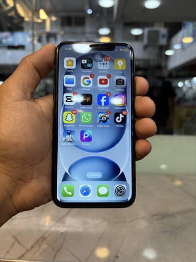 Apple iPhone X