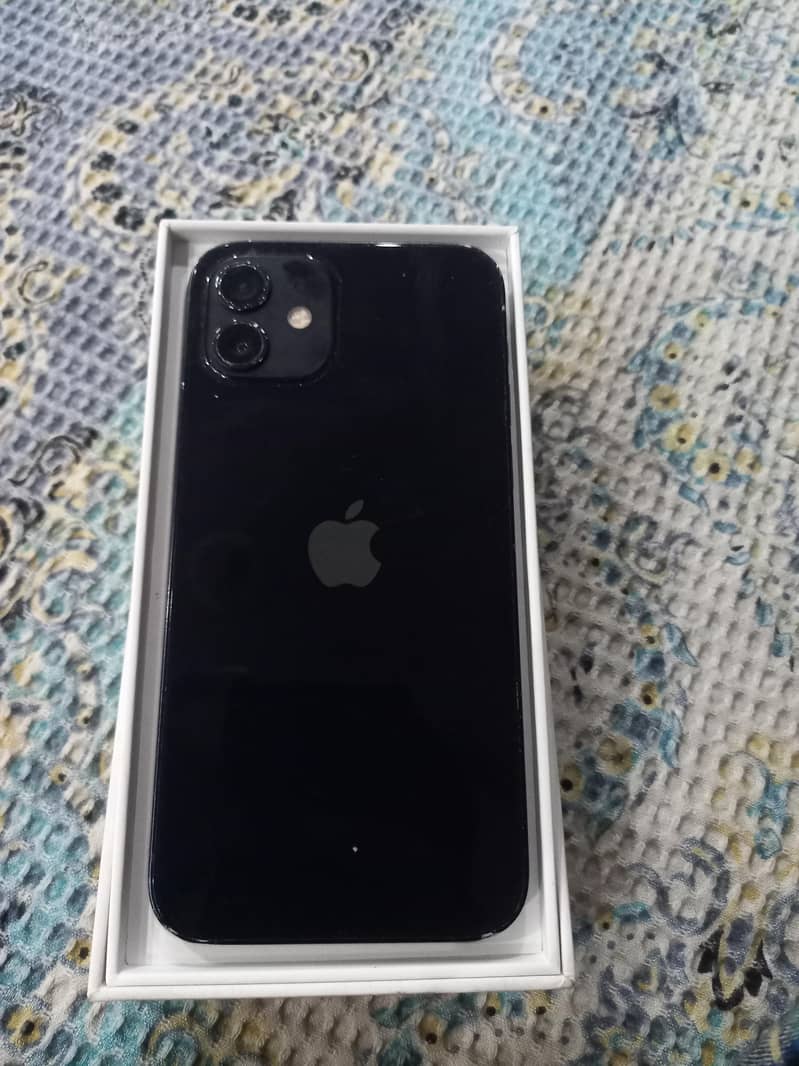 Apple iPhone 12 1