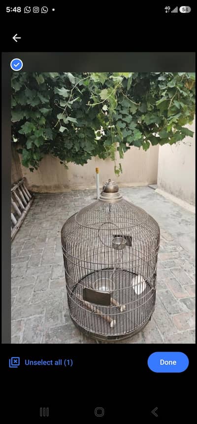 round cage