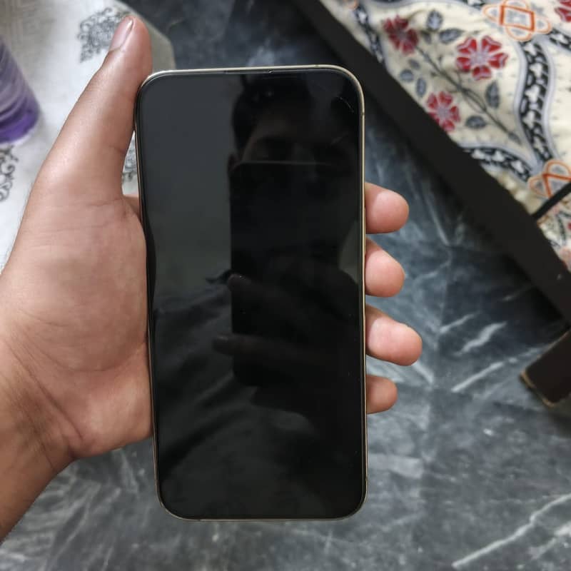 Apple iPhone 14 Pro Max 7