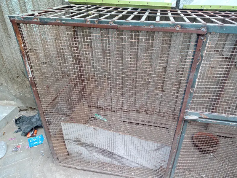 cage for sell — photo 2