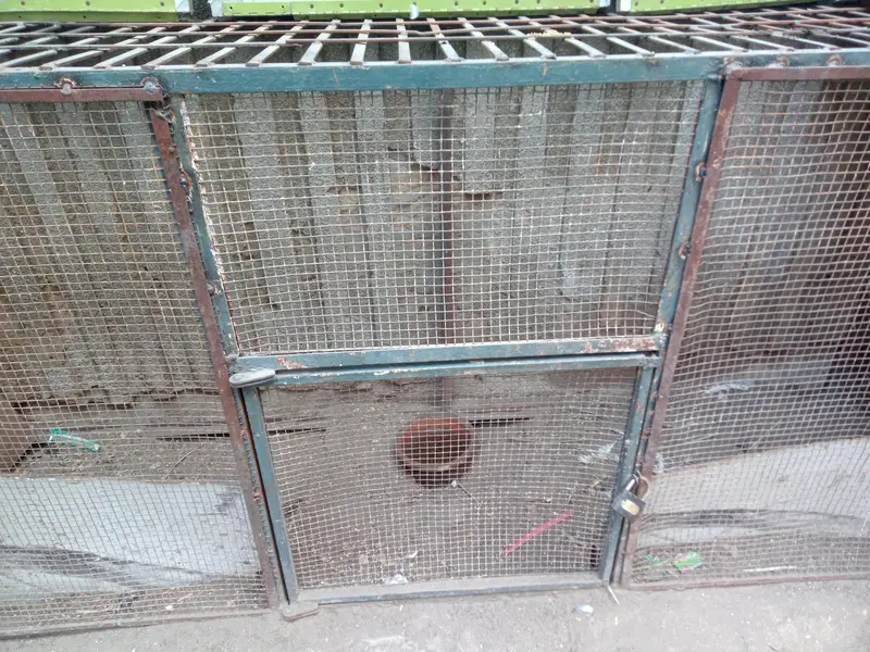 cage for sell — photo 3