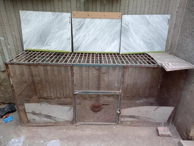 cage for sell — photo 4