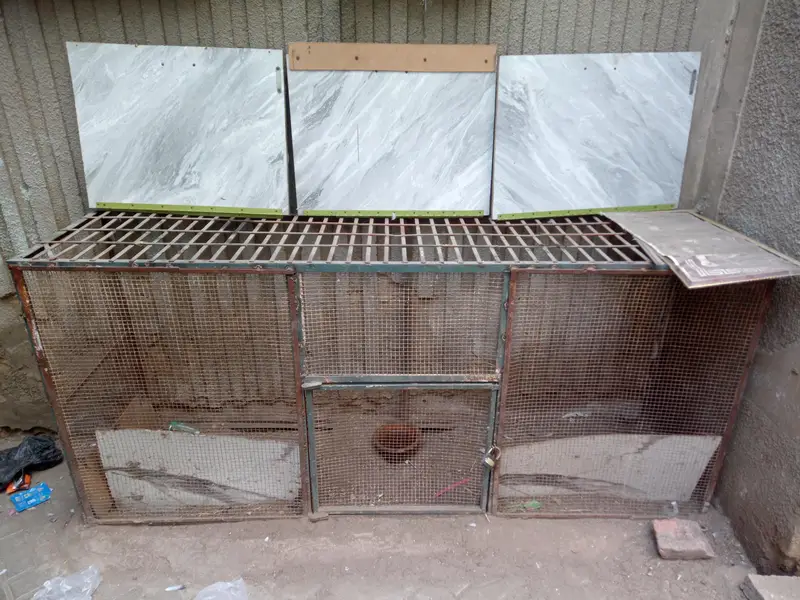cage for sell — photo 5