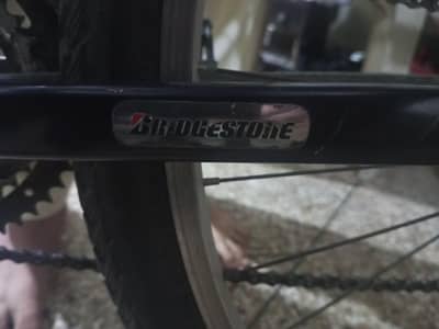 BRIDGE STONE