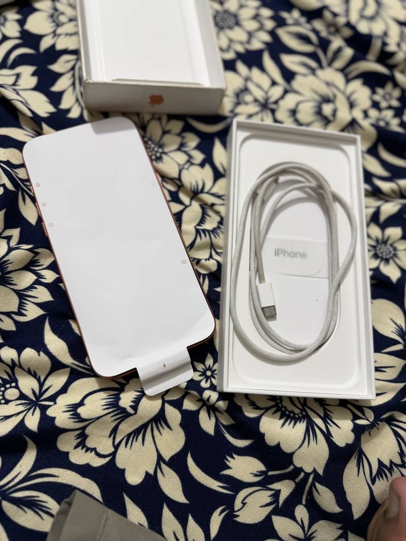 Apple iPhone 17 Pro Max 7