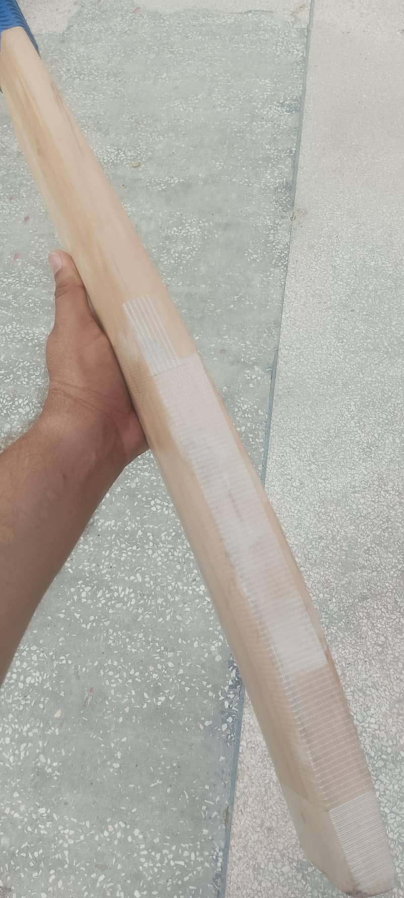 top class bat 1