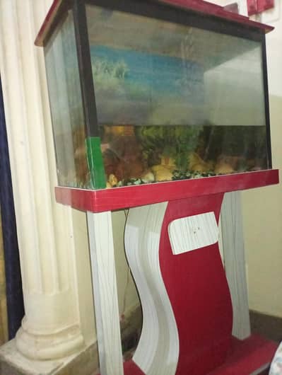 Aquarium