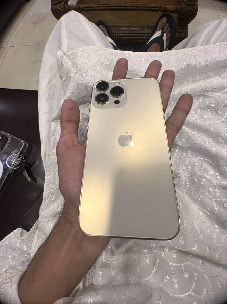 Apple iPhone 13 Pro Max 1
