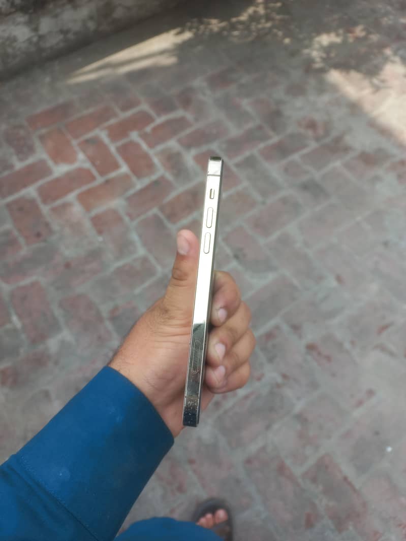 Apple iPhone 12 Pro 4