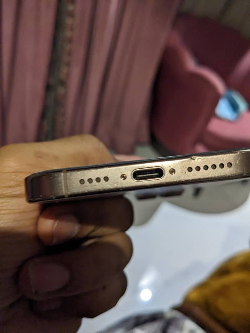 Apple iPhone 16 Pro Max 1