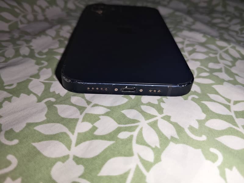 Apple iPhone 12 1