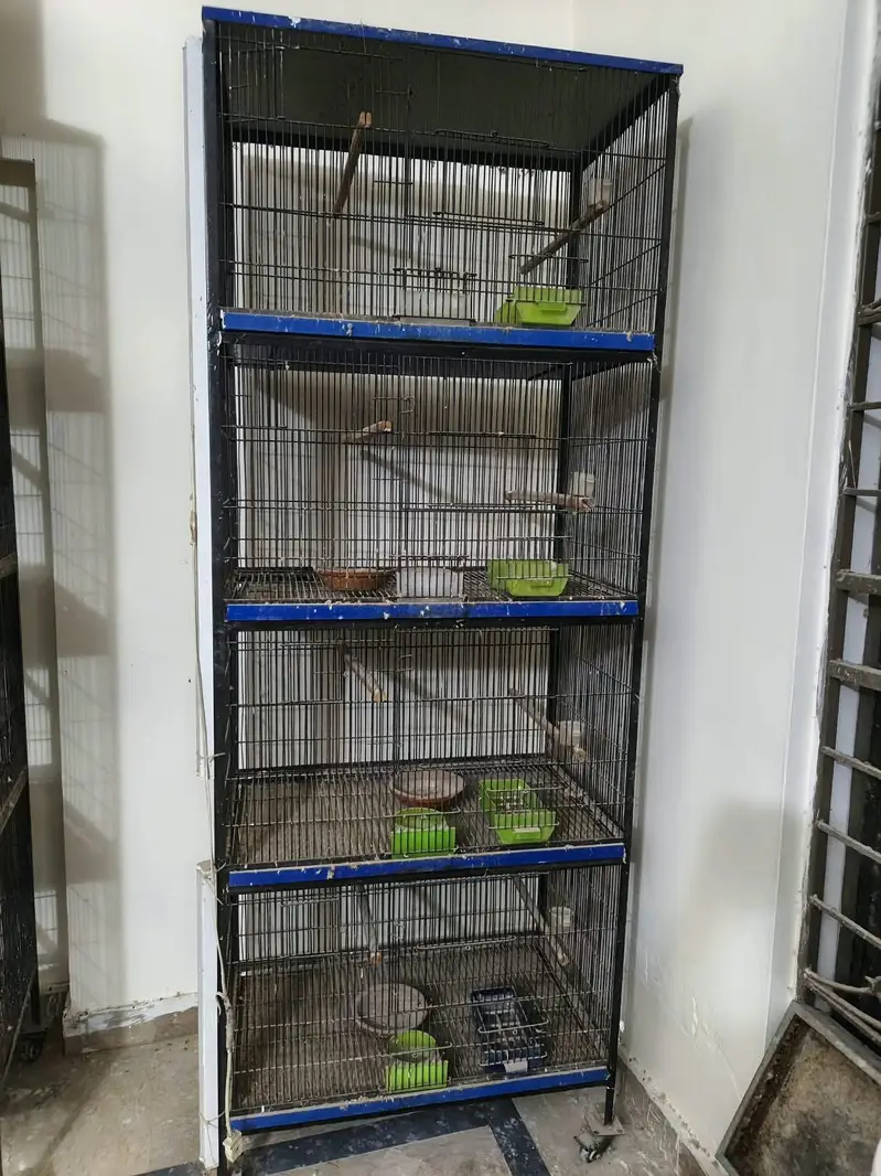 cage available forsale — photo 2