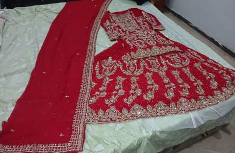 bridle lehnga