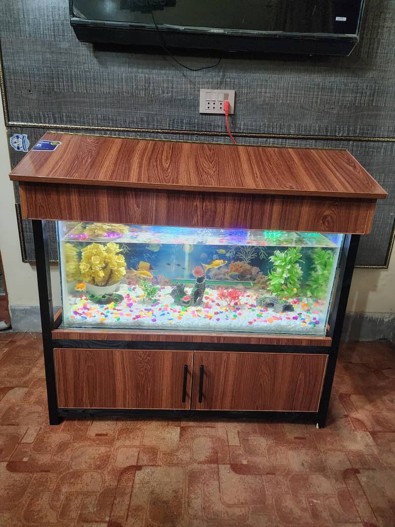 Fish Aquarium 0