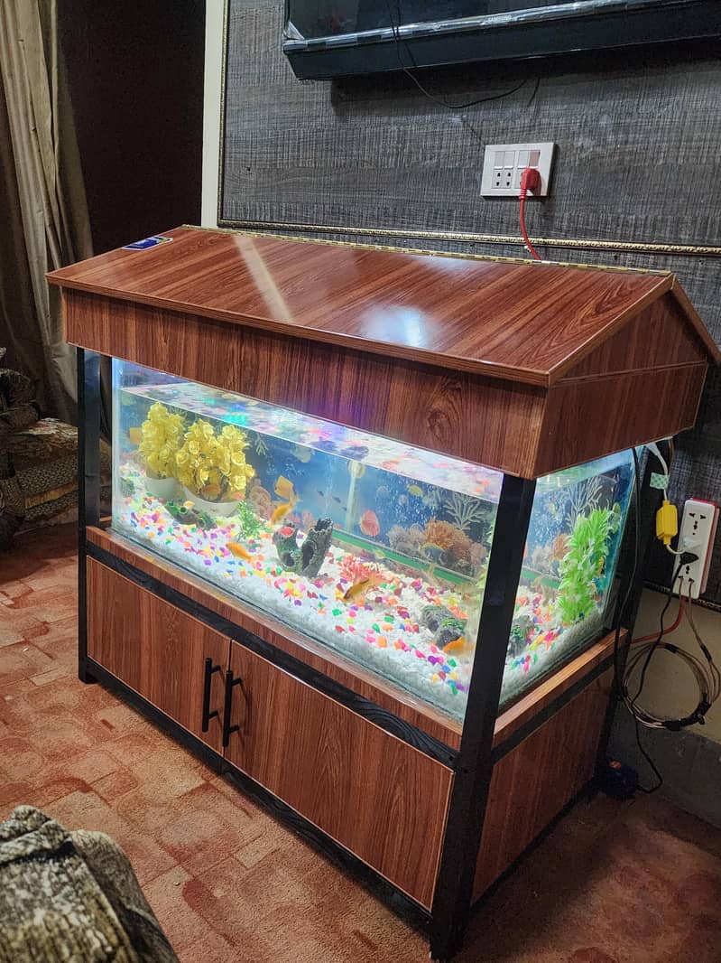 Fish Aquarium 2