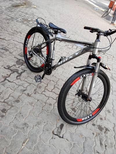 stylish mountain bicycle