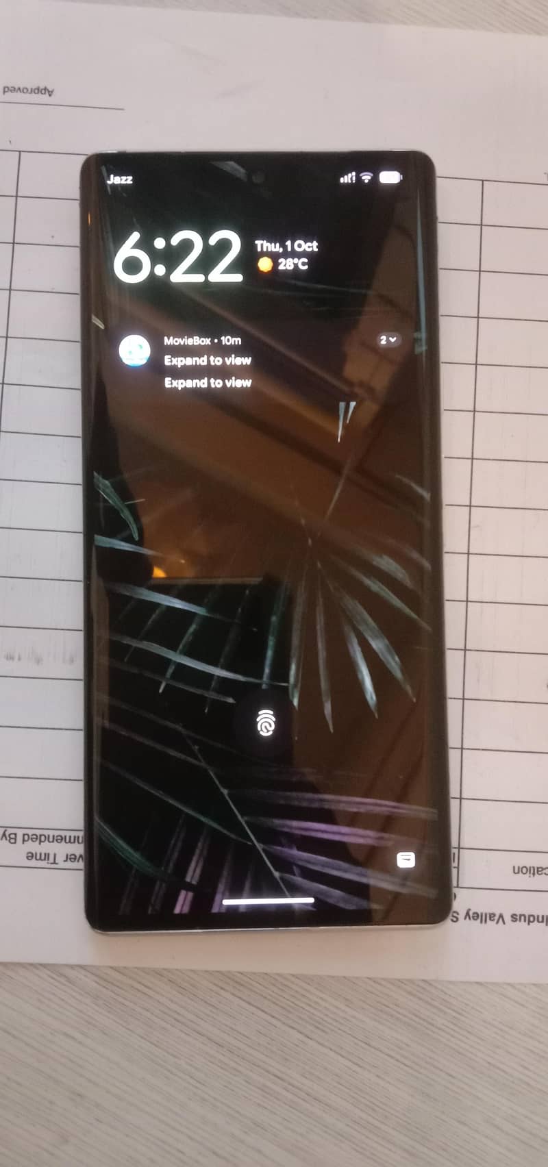 Google Pixel 6 Pro 2