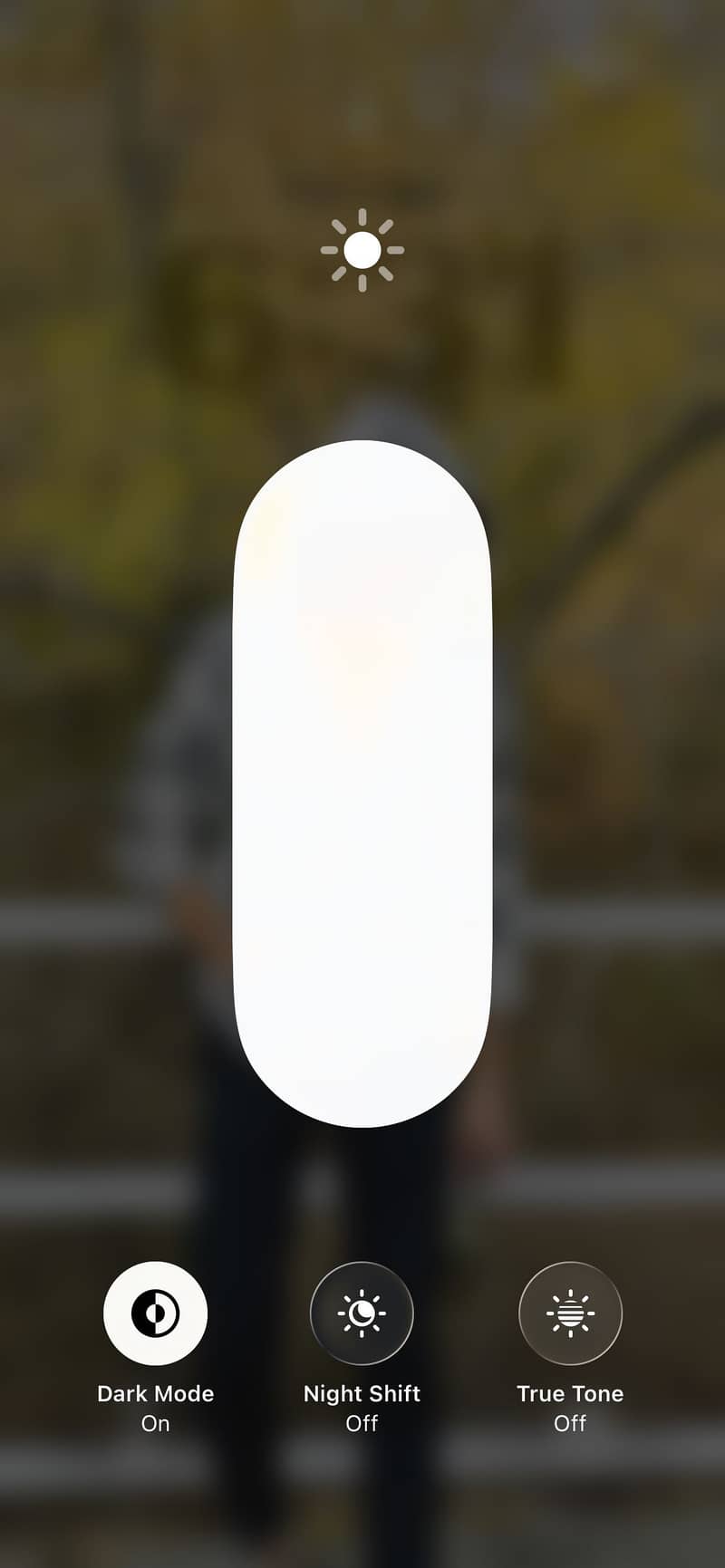 iPhone 12 Jv 3