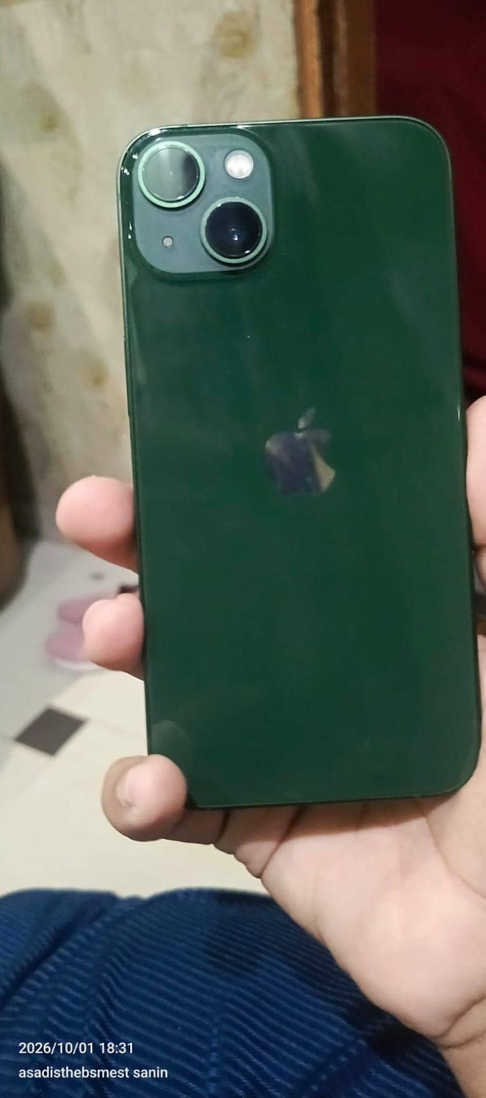 Apple iPhone 13 0