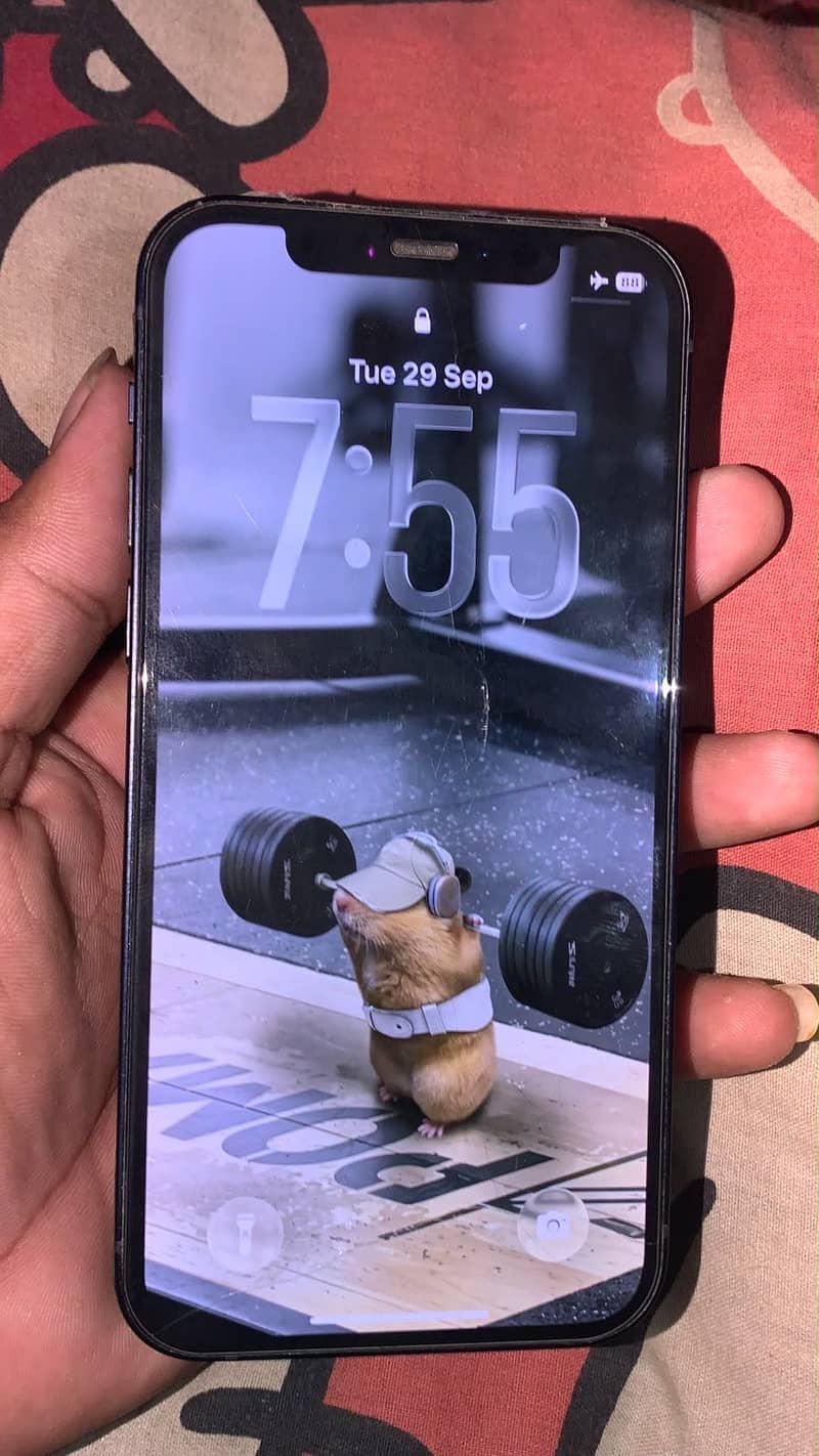 Apple iPhone 12 6