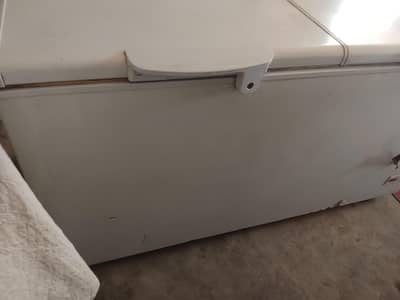 freezer
