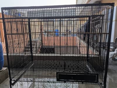 Cage Forsale