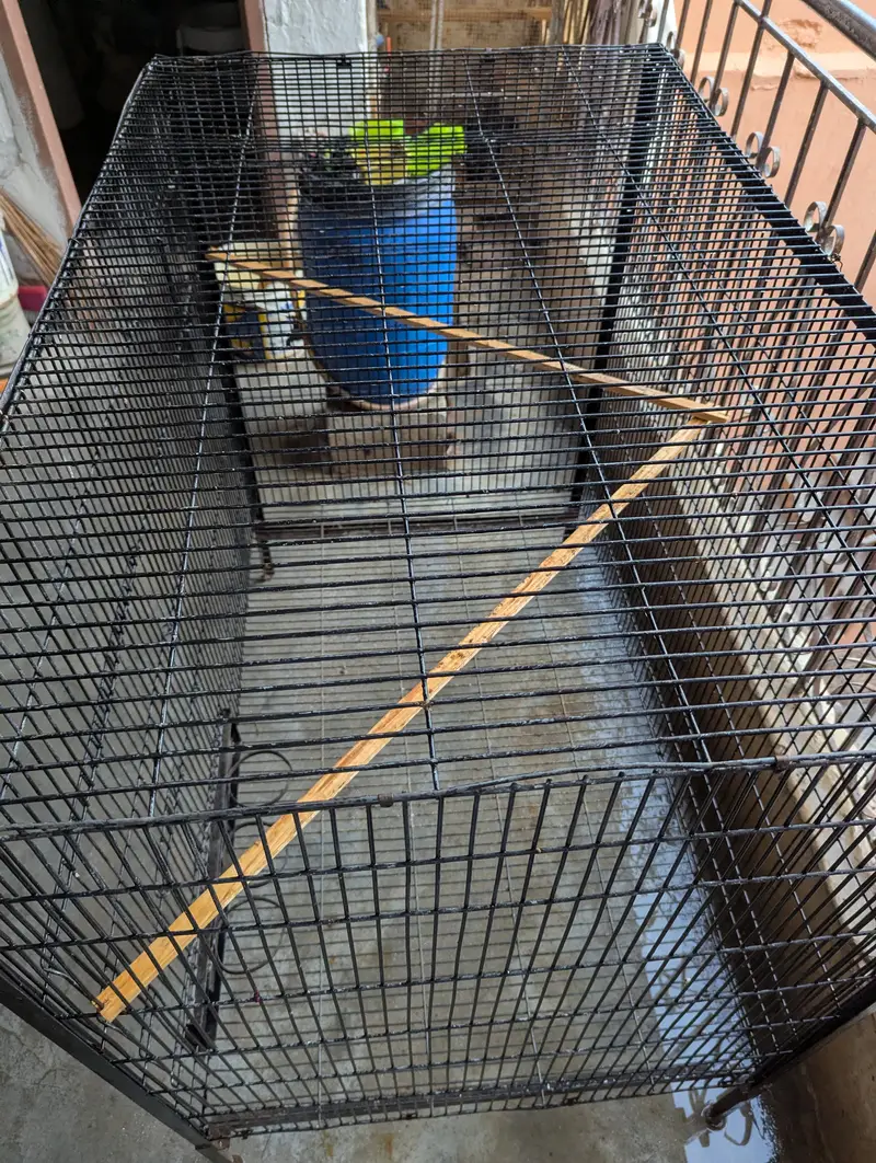 Cage Forsale — photo 3