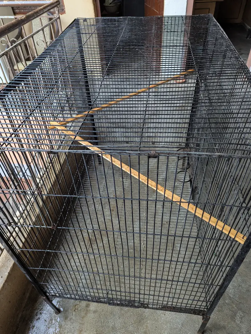 Cage Forsale — photo 4