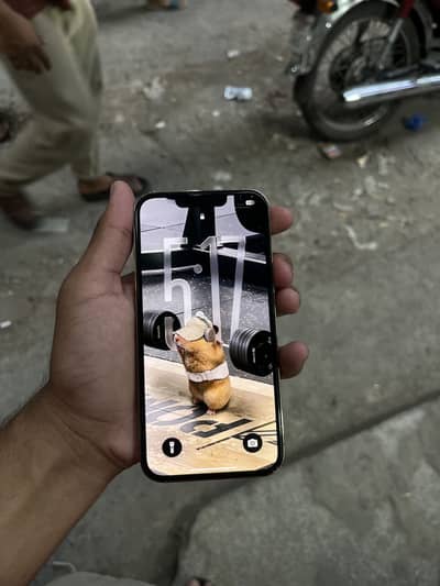 Apple iPhone 13 Pro
