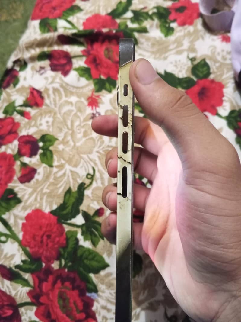 Apple iPhone 13 Pro Max 256 jv 4