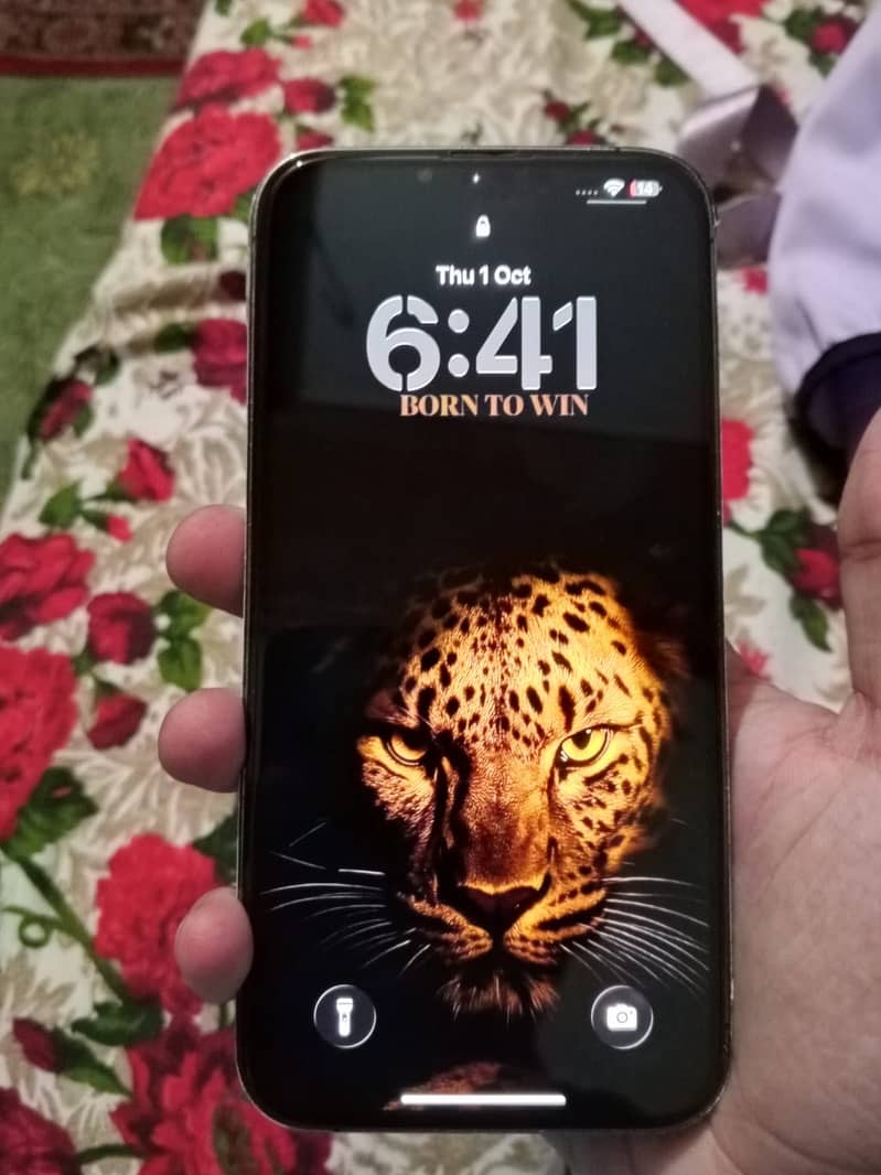 Apple iPhone 13 Pro Max 256 jv 6