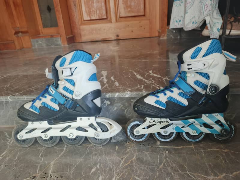 scating shoes 2