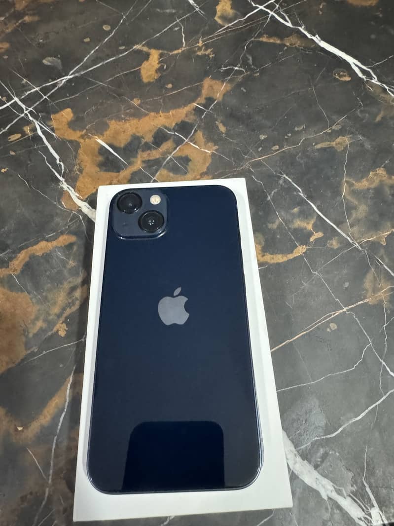 Apple iPhone 13 0