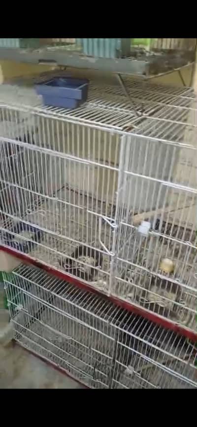 Folding Cage for sale