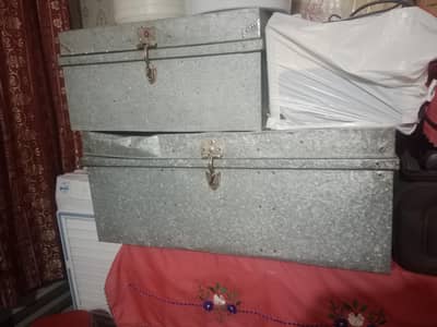 trunk for sale