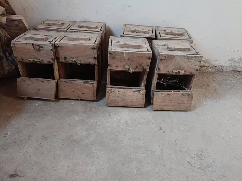 lovebird breeding boxes 0