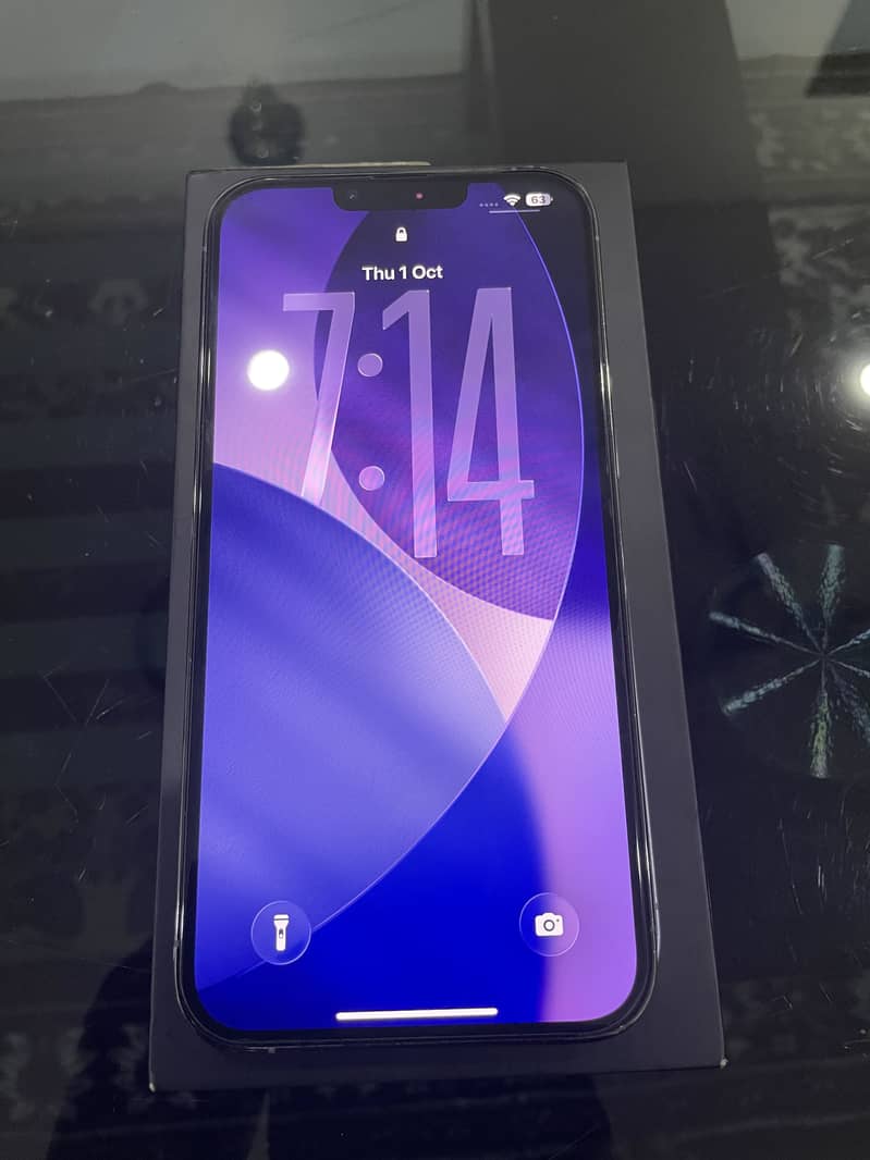 Apple iPhone 13 Pro Max 1