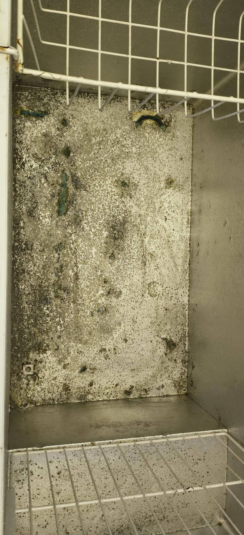 heier d freezer 2